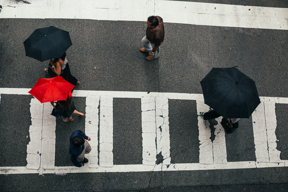 umbrellas and crosswalk